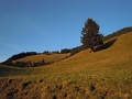 Gafadura 1428m 06_04_2011 (80)